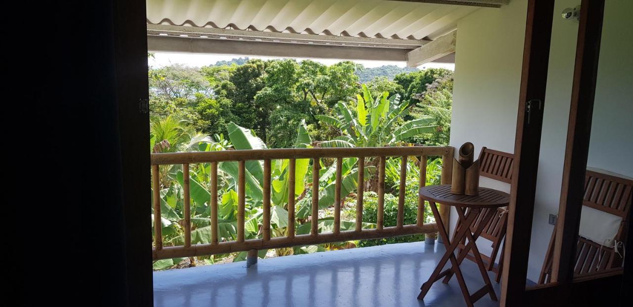 فندق Vista Caribe بورتو بيلو المظهر الخارجي الصورة